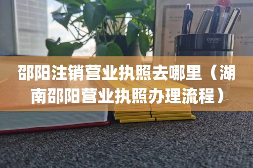 邵阳注销营业执照去哪里（湖南邵阳营业执照办理流程）