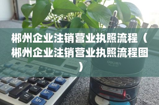 郴州企业注销营业执照流程（郴州企业注销营业执照流程图）