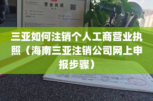 三亚如何注销个人工商营业执照（海南三亚注销公司网上申报步骤）