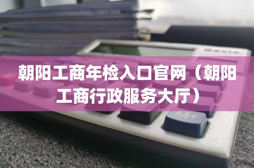 朝阳工商年检入口官网(朝阳工商行政服务大厅)