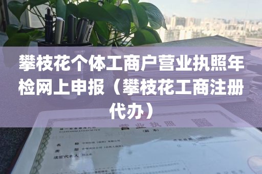 攀枝花个体工商户营业执照年检网上申报（攀枝花工商注册代办）