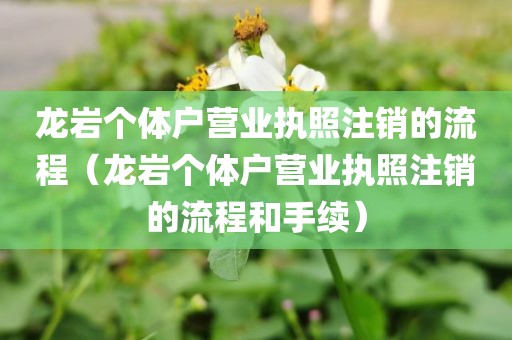 龙岩个体户营业执照注销的流程（龙岩个体户营业执照注销的流程和手续）