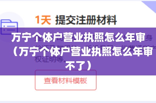 万宁个体户营业执照怎么年审（万宁个体户营业执照怎么年审不了）