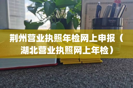 荆州营业执照年检网上申报（湖北营业执照网上年检）