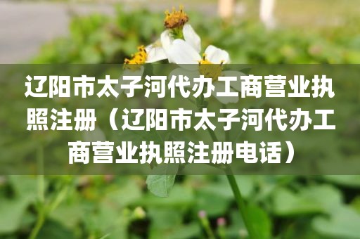 辽阳市太子河代办工商营业执照注册（辽阳市太子河代办工商营业执照注册电话）
