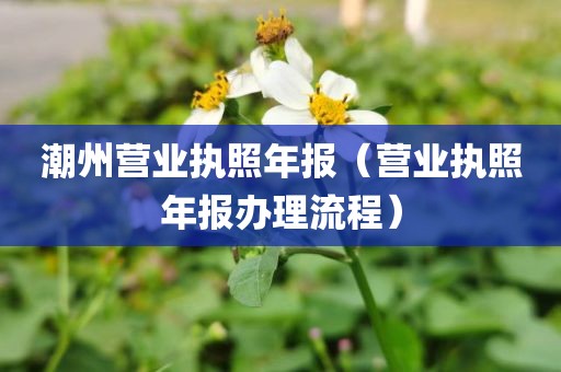 潮州营业执照年报（营业执照年报办理流程）