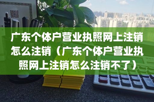 广东个体户营业执照网上注销怎么注销（广东个体户营业执照网上注销怎么注销不了）