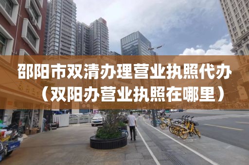 邵阳市双清办理营业执照代办（双阳办营业执照在哪里）