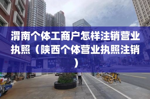 渭南个体工商户怎样注销营业执照(陕西个体营业执照注销)