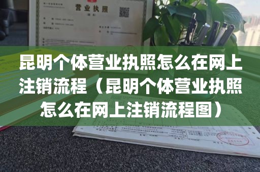 昆明个体营业执照怎么在网上注销流程（昆明个体营业执照怎么在网上注销流程图）