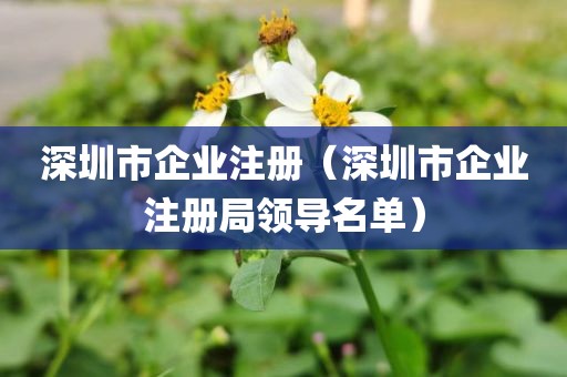 深圳市企业注册（深圳市企业注册局领导名单）