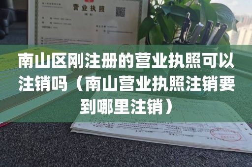 南山区刚注册的营业执照可以注销吗（南山营业执照注销要到哪里注销）