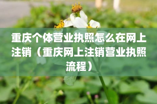 重庆个体营业执照怎么在网上注销（重庆网上注销营业执照流程）