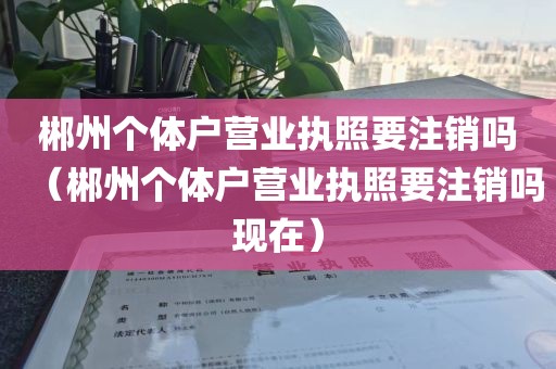 郴州个体户营业执照要注销吗（郴州个体户营业执照要注销吗现在）