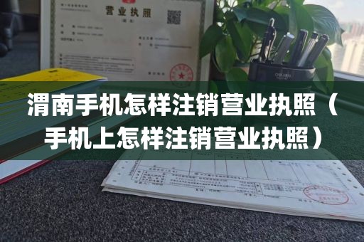 渭南手机怎样注销营业执照（手机上怎样注销营业执照）