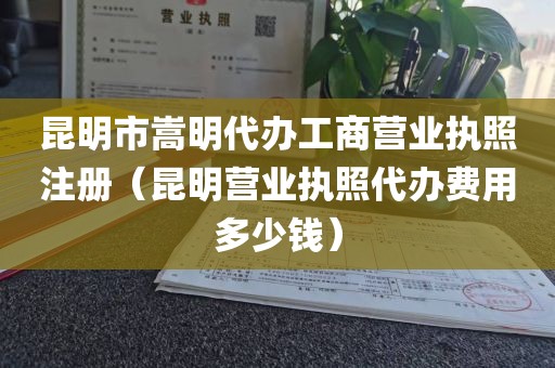 昆明市嵩明代办工商营业执照注册（昆明营业执照代办费用多少钱）