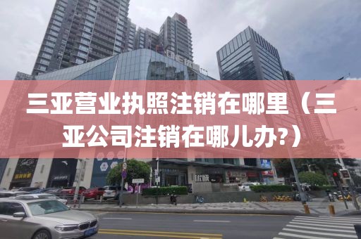 三亚营业执照注销在哪里(三亚公司注销在哪儿办?)