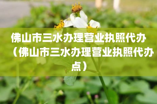 佛山市三水办理营业执照代办（佛山市三水办理营业执照代办点）