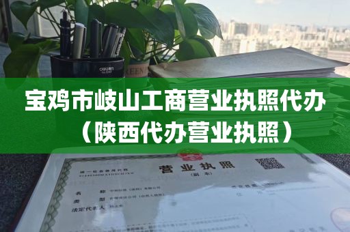 宝鸡市岐山工商营业执照代办（陕西代办营业执照）