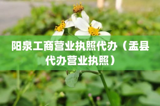 阳泉工商营业执照代办（盂县代办营业执照）