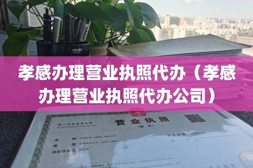 孝感办理营业执照代办（孝感办理营业执照代办公司）