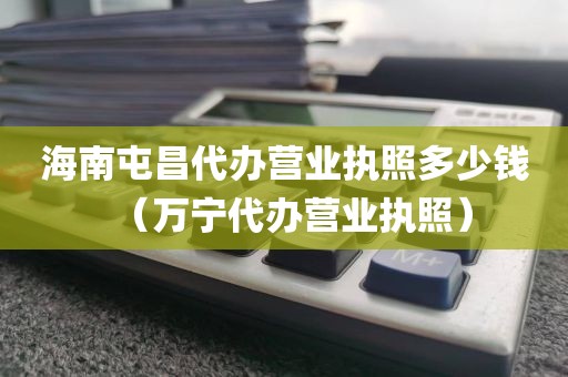 海南屯昌代办营业执照多少钱(万宁代办营业执照)