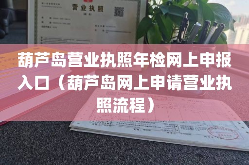 葫芦岛营业执照年检网上申报入口（葫芦岛网上申请营业执照流程）