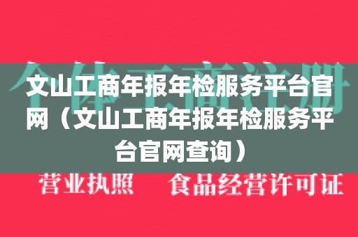 文山工商年报年检服务平台官网（文山工商年报年检服务平台官网查询）