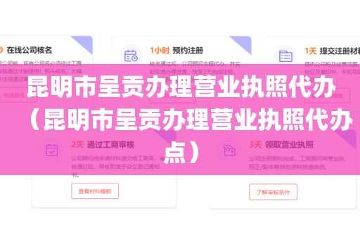 昆明市呈贡办理营业执照代办（昆明市呈贡办理营业执照代办点）