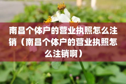 南昌个体户的营业执照怎么注销（南昌个体户的营业执照怎么注销啊）