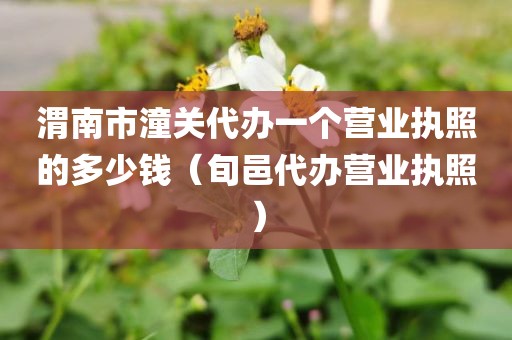 渭南市潼关代办一个营业执照的多少钱(旬邑代办营业执照)