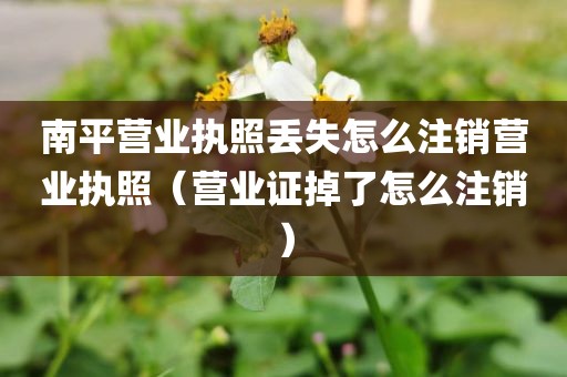 南平营业执照丢失怎么注销营业执照（营业证掉了怎么注销）