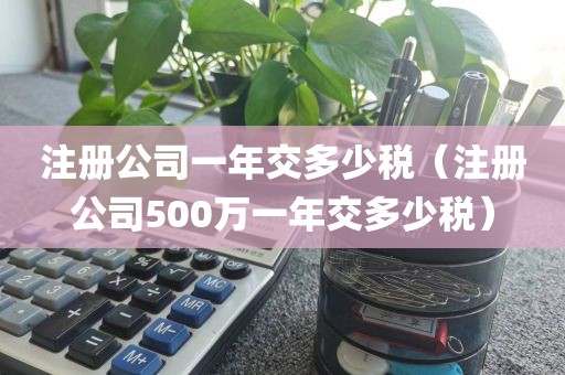 注册公司一年交多少税(注册公司500万一年交多少税)