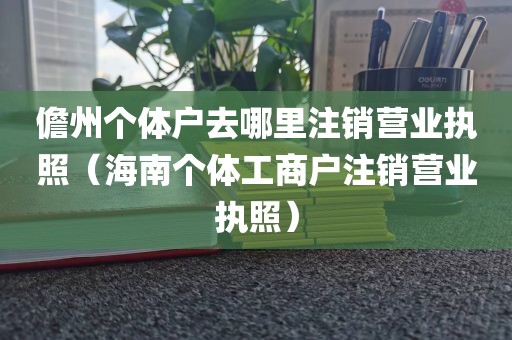 儋州个体户去哪里注销营业执照(海南个体工商户注销营业执照)