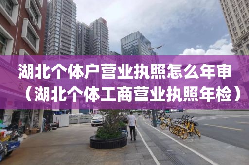 湖北个体户营业执照怎么年审（湖北个体工商营业执照年检）