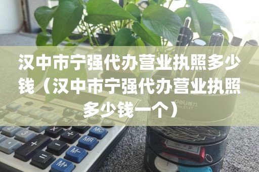 汉中市宁强代办营业执照多少钱（汉中市宁强代办营业执照多少钱一个）