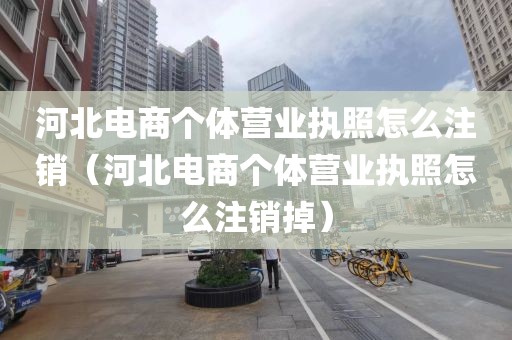 河北电商个体营业执照怎么注销(河北电商个体营业执照怎么注销掉)
