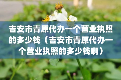 吉安市青原代办一个营业执照的多少钱（吉安市青原代办一个营业执照的多少钱啊）