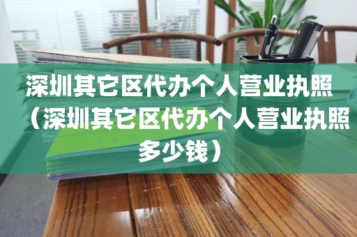 深圳其它区代办个人营业执照（深圳其它区代办个人营业执照多少钱）