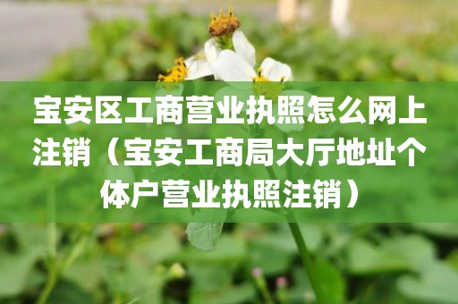 宝安区工商营业执照怎么网上注销（宝安工商局大厅地址个体户营业执照注销）