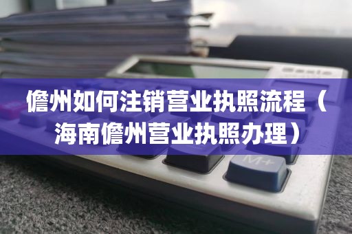 儋州如何注销营业执照流程（海南儋州营业执照办理）