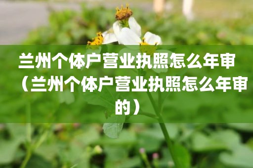 兰州个体户营业执照怎么年审（兰州个体户营业执照怎么年审的）
