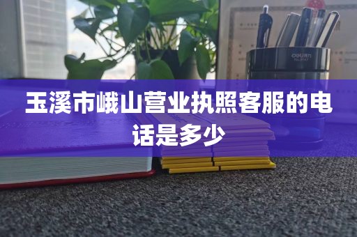 玉溪市峨山营业执照客服的电话是多少