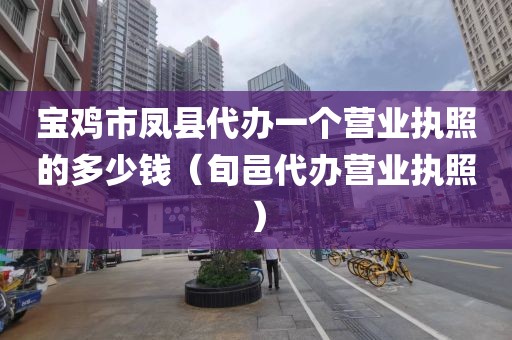 宝鸡市凤县代办一个营业执照的多少钱（旬邑代办营业执照）