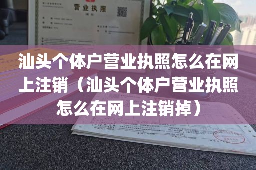 汕头个体户营业执照怎么在网上注销(汕头个体户营业执照怎么在网上注销掉)
