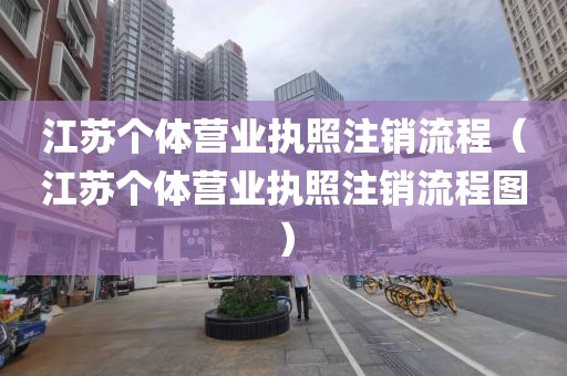 江苏个体营业执照注销流程（江苏个体营业执照注销流程图）