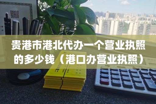 贵港市港北代办一个营业执照的多少钱（港口办营业执照）