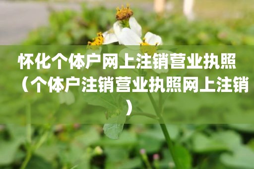 怀化个体户网上注销营业执照(个体户注销营业执照网上注销)