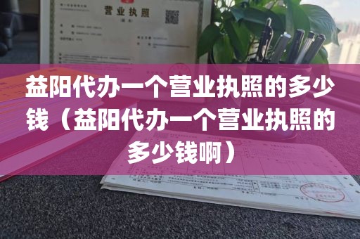 益阳代办一个营业执照的多少钱（益阳代办一个营业执照的多少钱啊）