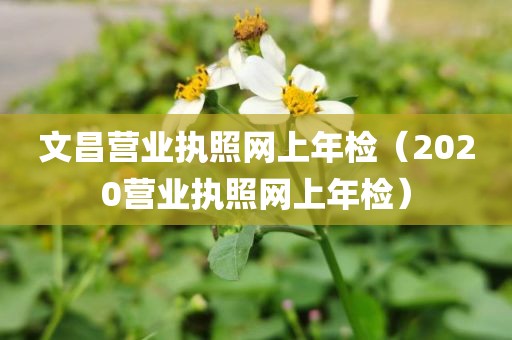 文昌营业执照网上年检（2020营业执照网上年检）